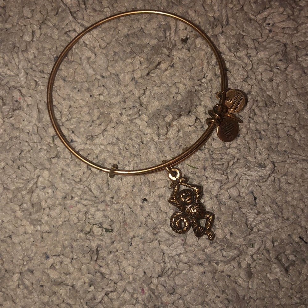 alex and ani monkey bracelet